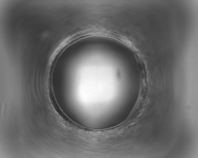 X0000054360007200508051541