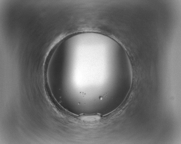 X0000054360008200508051541