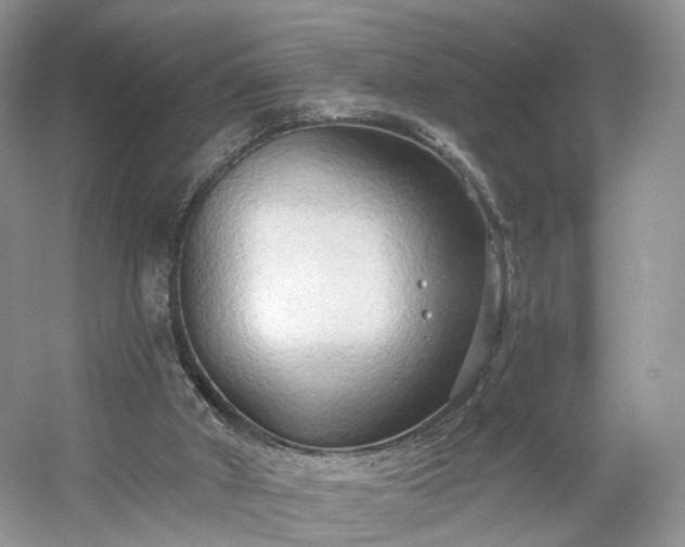 X0000054360010200508051541