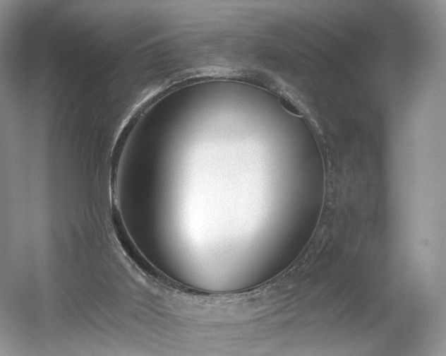 X0000054360011200508051541