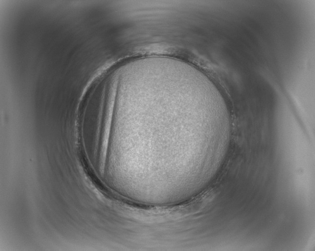 X0000054360012200508051541