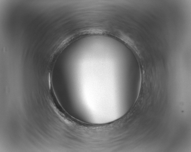 X0000054360013200508051541