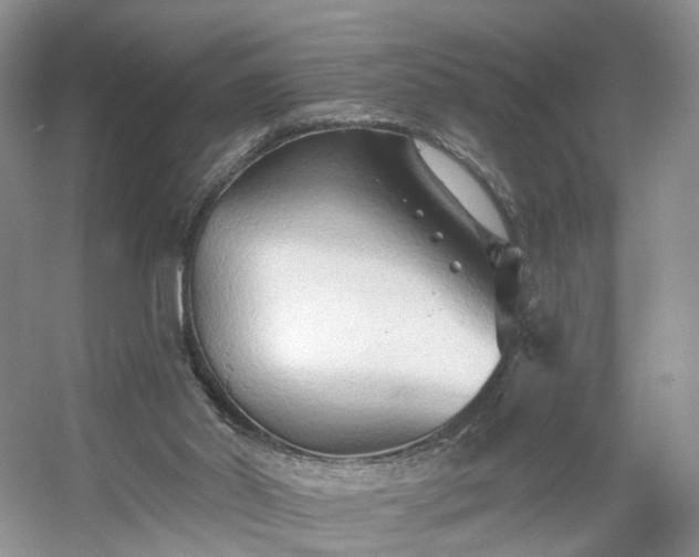 X0000054360014200508051541