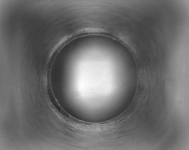 X0000054360015200508051541