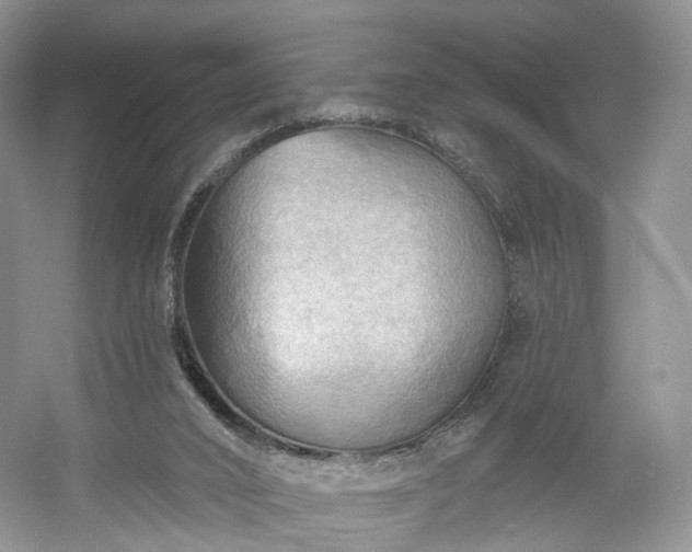 X0000054360016200508051541