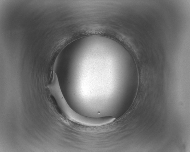 X0000054360017200508051541