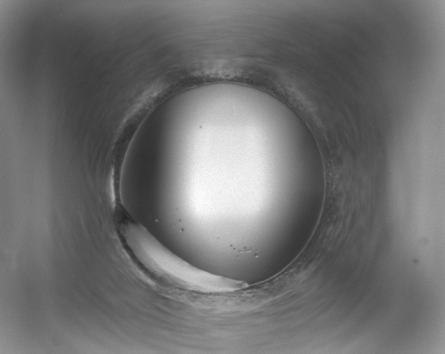 X0000054360020200508051541