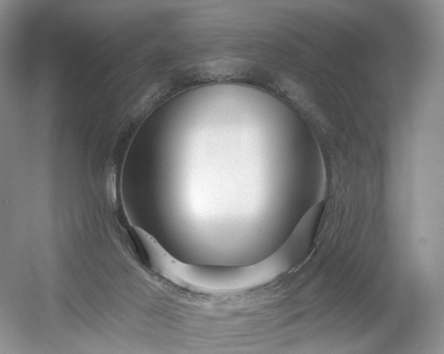 X0000054360021200508051541