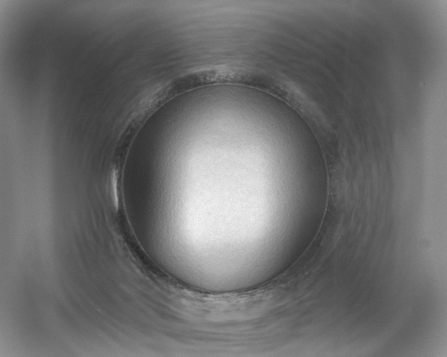 X0000054360022200508051541