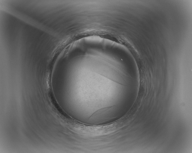 X0000054360023200508051541