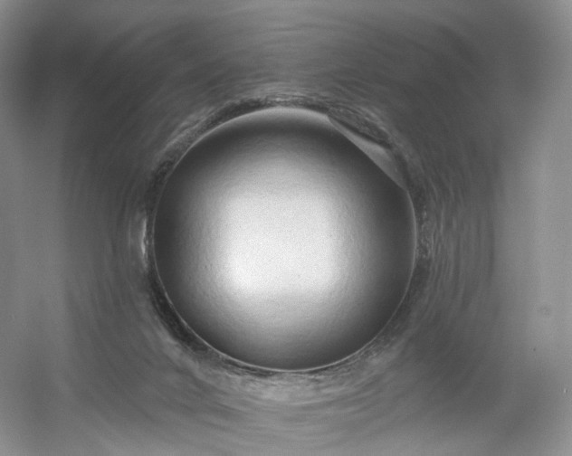 X0000054360024200508051541