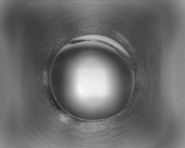 X0000054360025200508051541