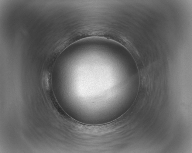 X0000054360026200508051541
