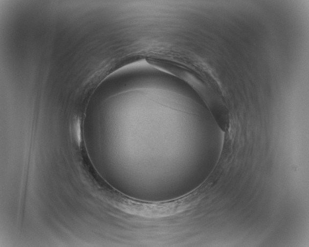 X0000054360027200508051541