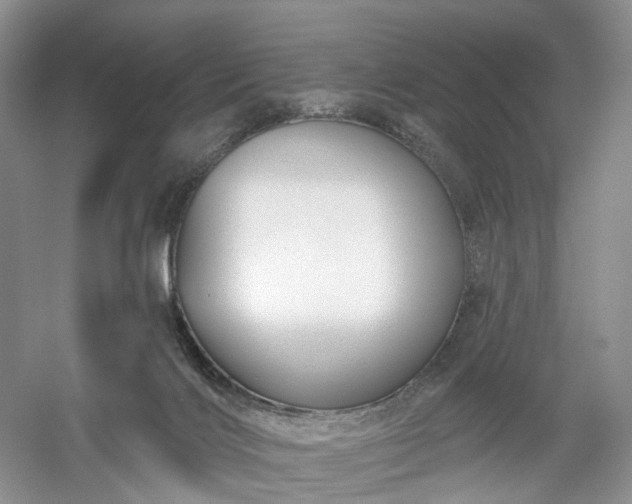 X0000054360028200508051541