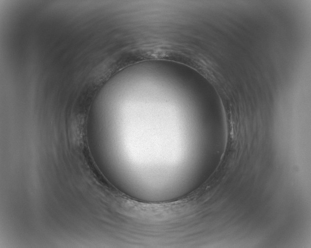 X0000054360030200508051541