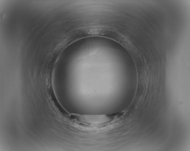 X0000054360031200508051541