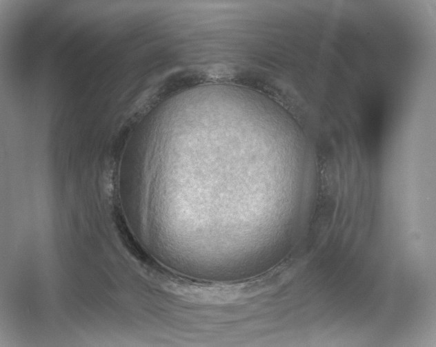X0000054360032200508051541