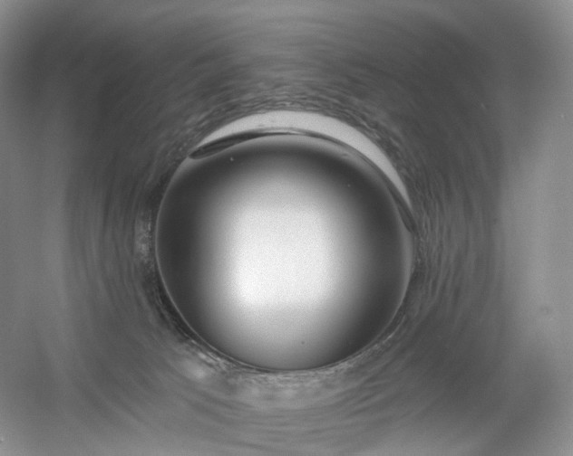 X0000054360033200508051541