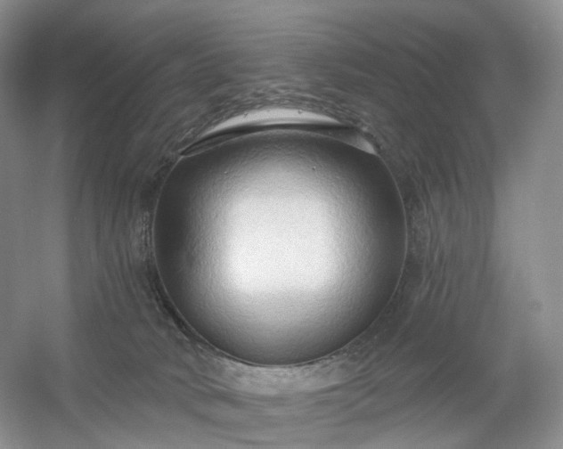 X0000054360034200508051540