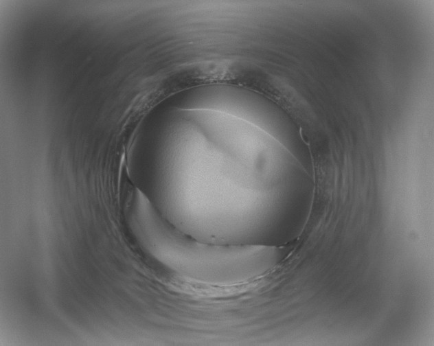 X0000054360035200508051540