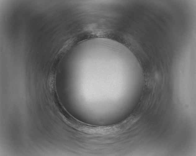 X0000054360036200508051540