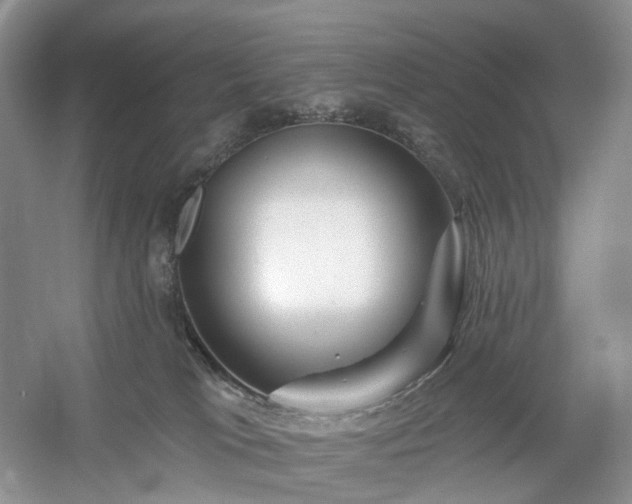 X0000054360037200508051540