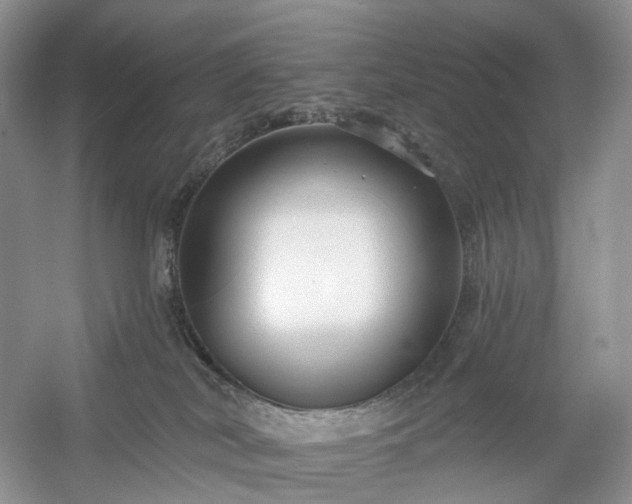 X0000054360038200508051540