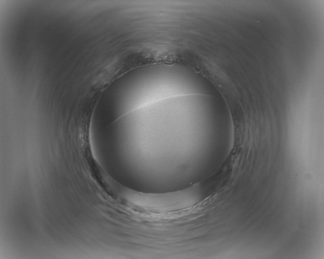 X0000054360039200508051540