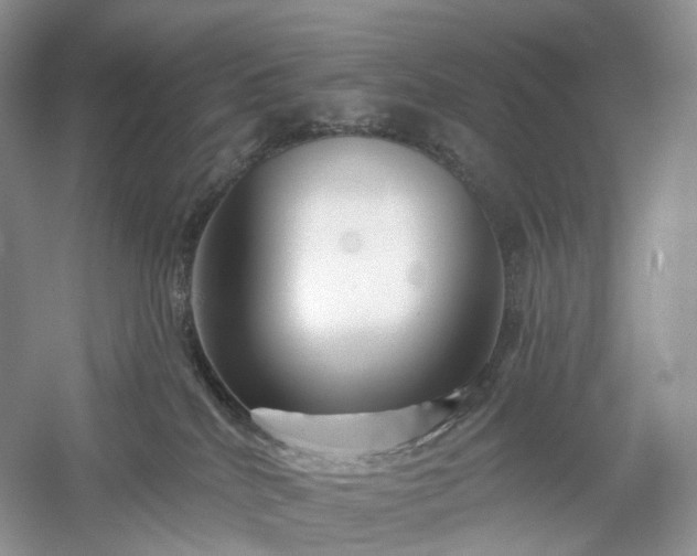 X0000054360040200508051540