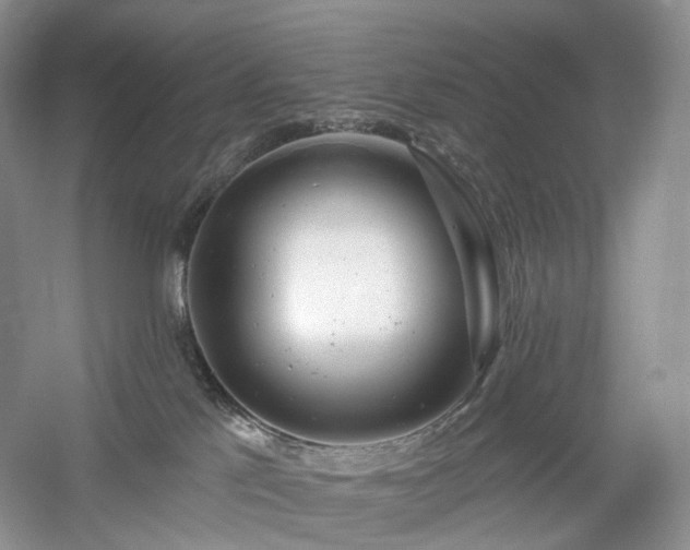 X0000054360041200508051540
