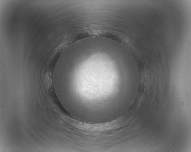X0000054360043200508051540