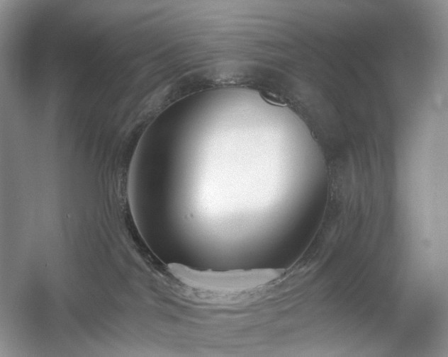 X0000054360044200508051540