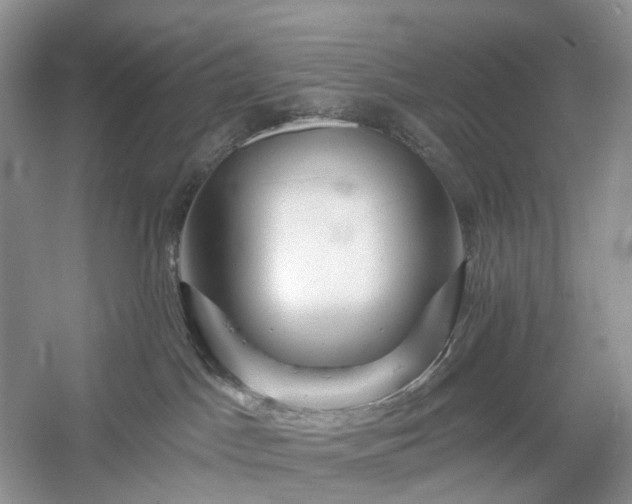 X0000054360045200508051540