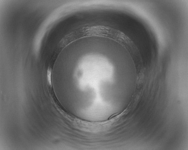X0000054360047200508051540