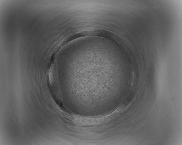 X0000054360048200508051540