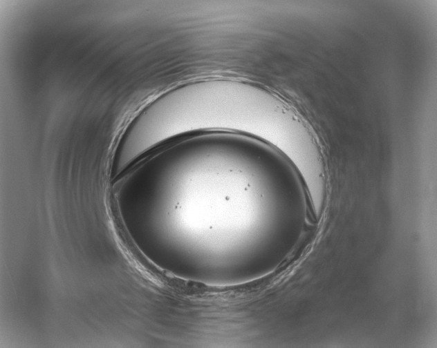 X0000054360049200508051539