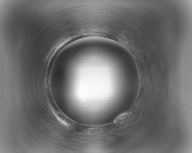 X0000054360050200508051539