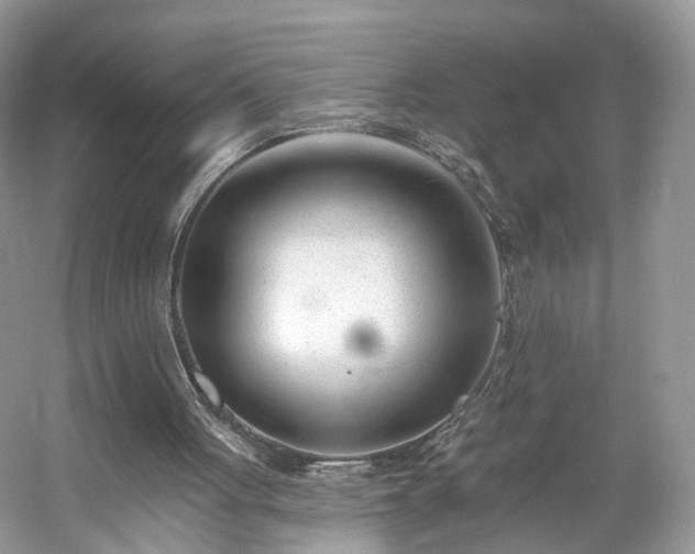 X0000054360051200508051539