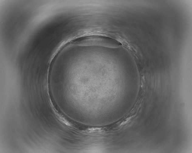 X0000054360052200508051539