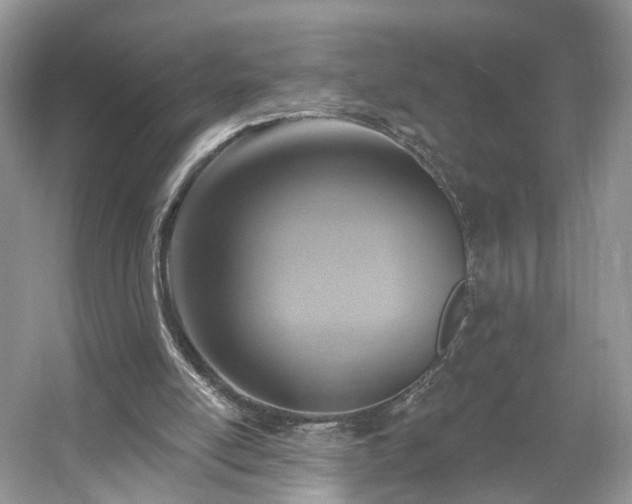 X0000054360054200508051540