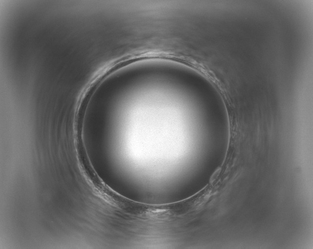 X0000054360055200508051540