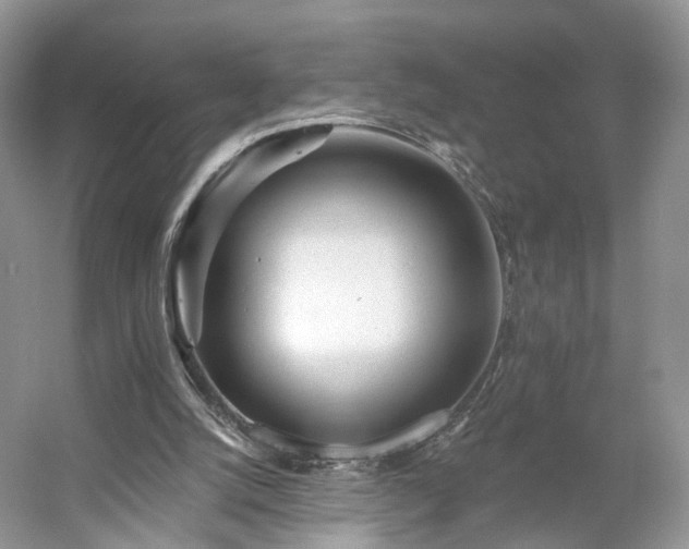 X0000054360056200508051540