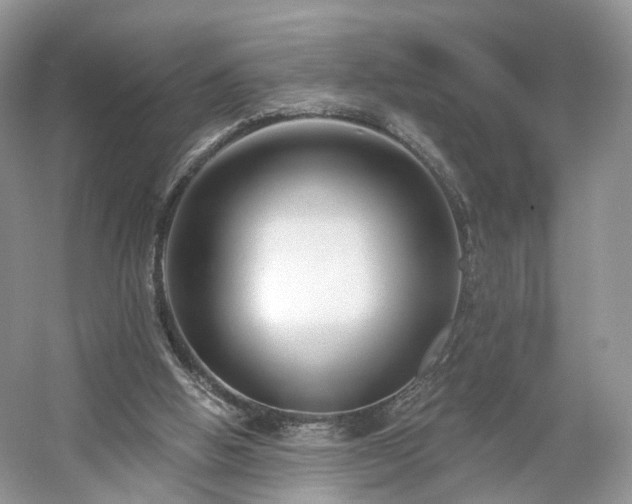 X0000054360058200508051540