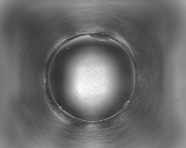 X0000054360059200508051540
