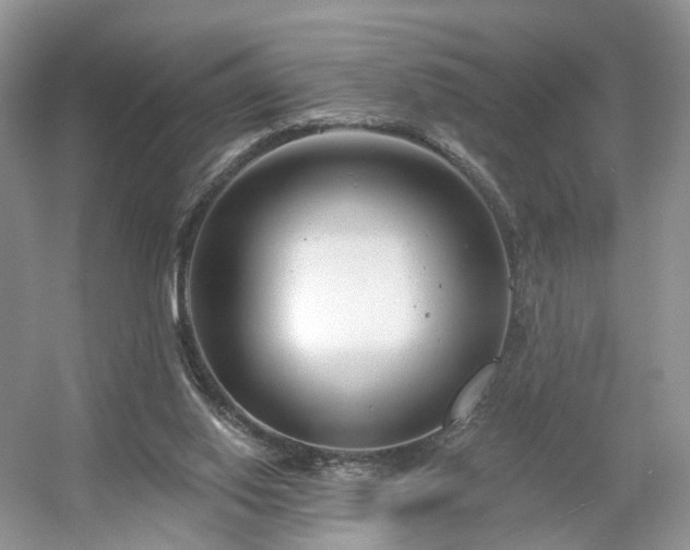 X0000054360062200508051540