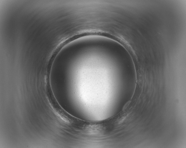 X0000054360063200508051540