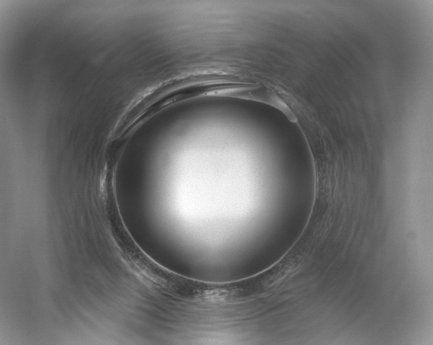X0000054360064200508051540