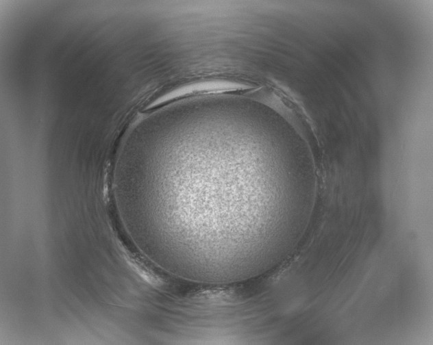 X0000054360065200508051540