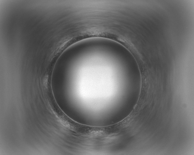 X0000054360066200508051540